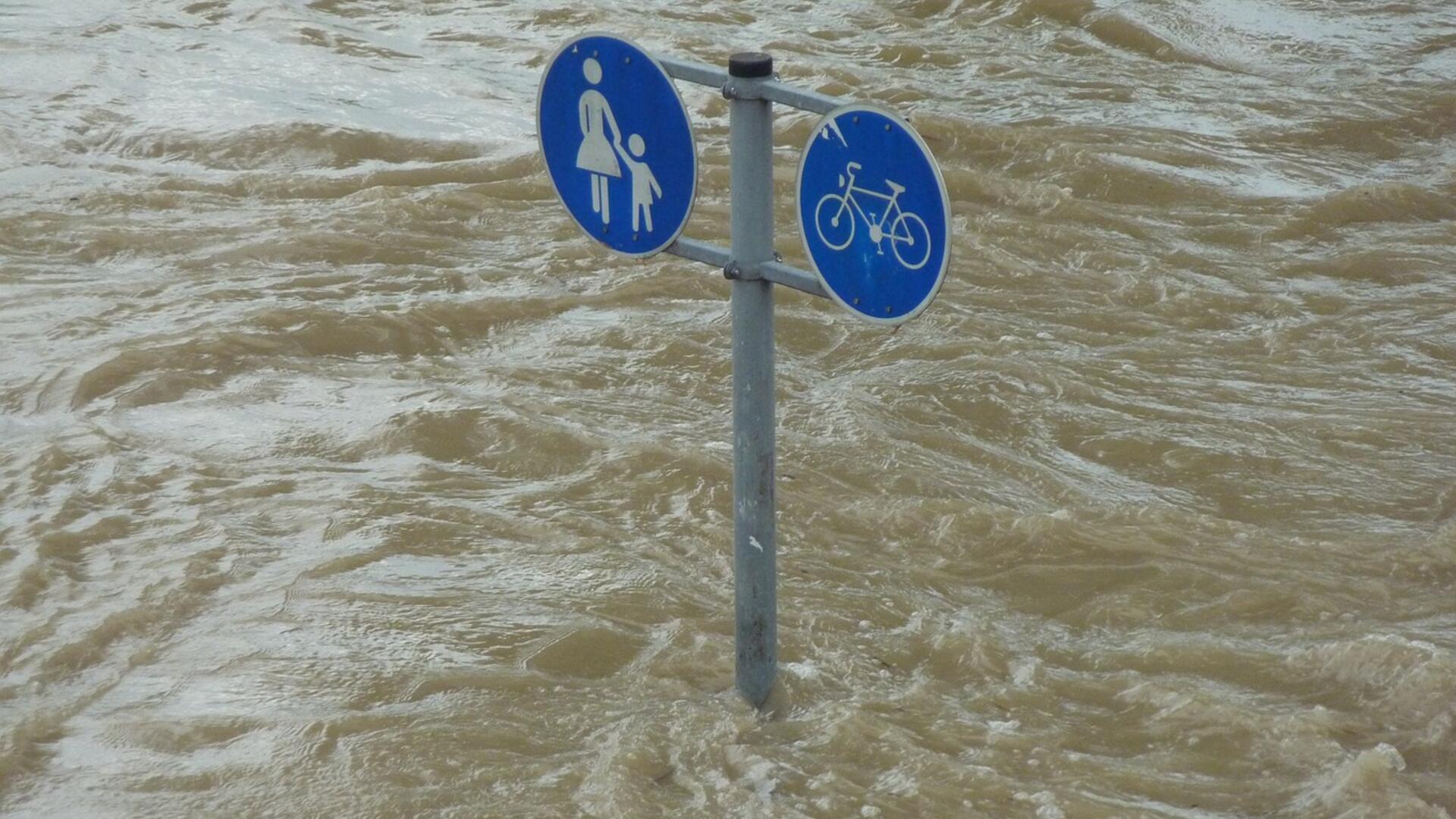 Klimaat