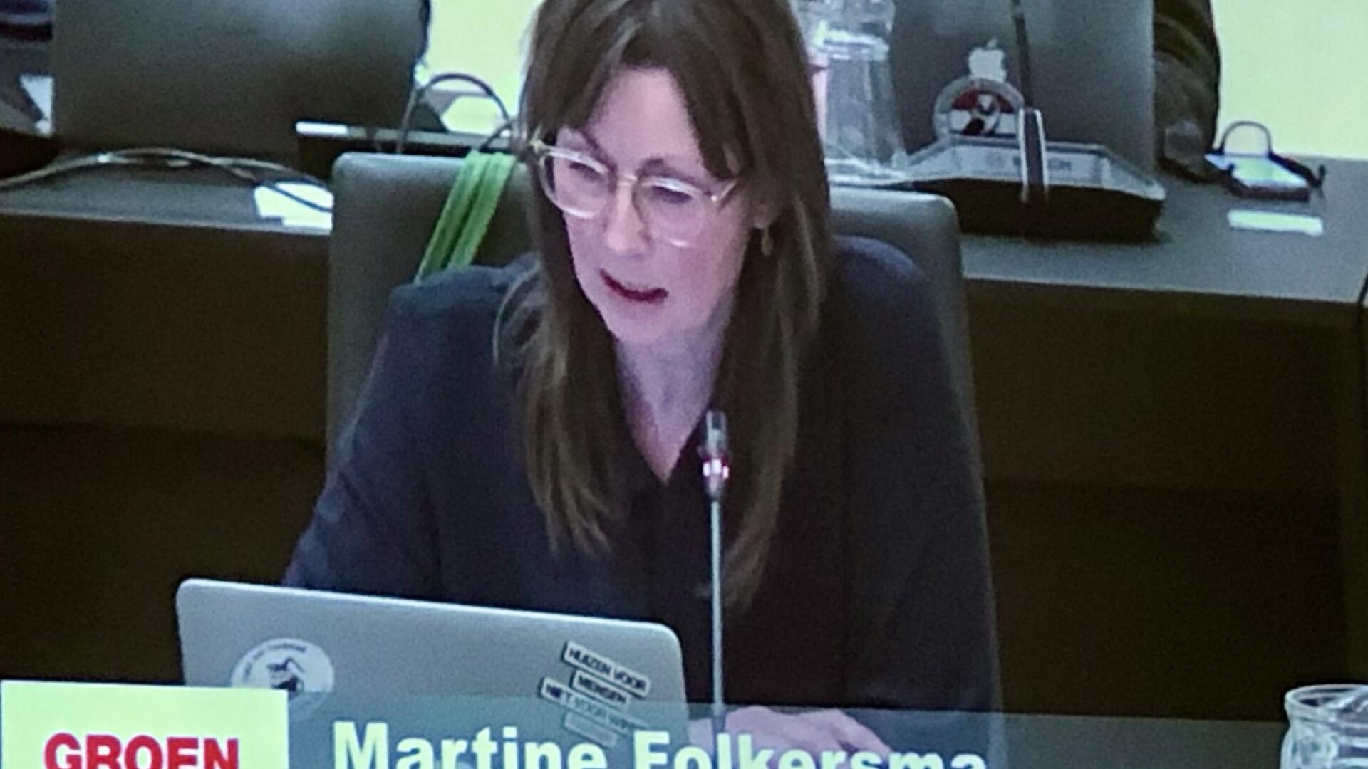 Stemverklaring GroenLinks