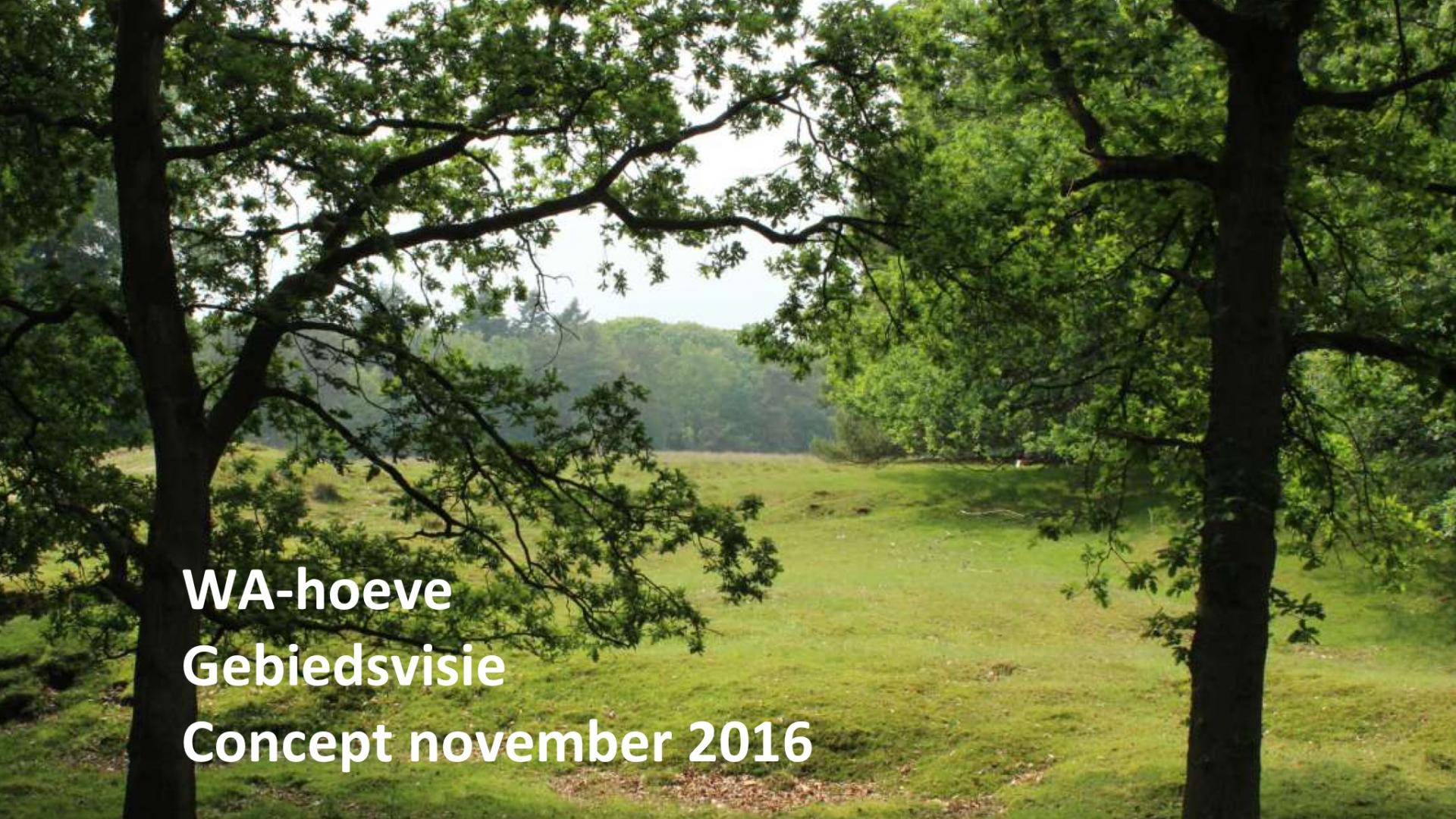 Gebiedsvisie WA Hoeve